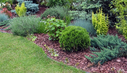 7 tips for low maintenance gardens