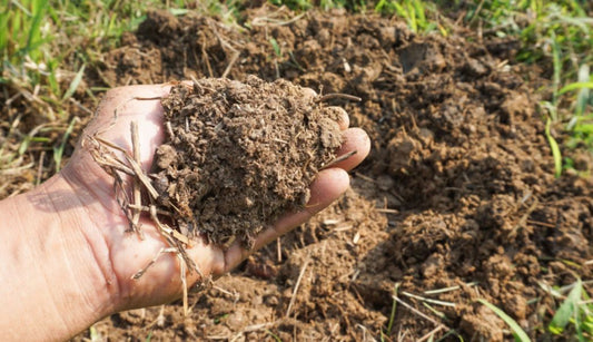 Gardening with natural resources in mind