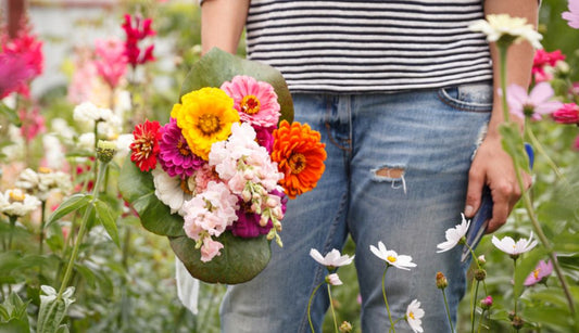 Grow your own flower bouquets