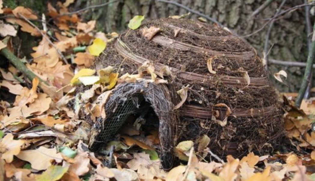 How to make a hedgehog house