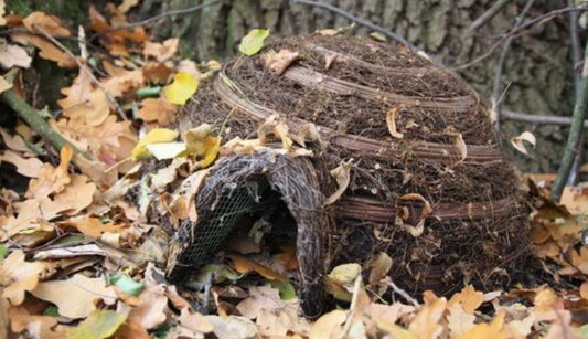 How to make a hedgehog house