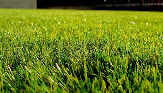 Keep your lawn looking healthy even when it’s dry