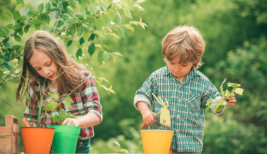 Top five tips to get kids gardening
