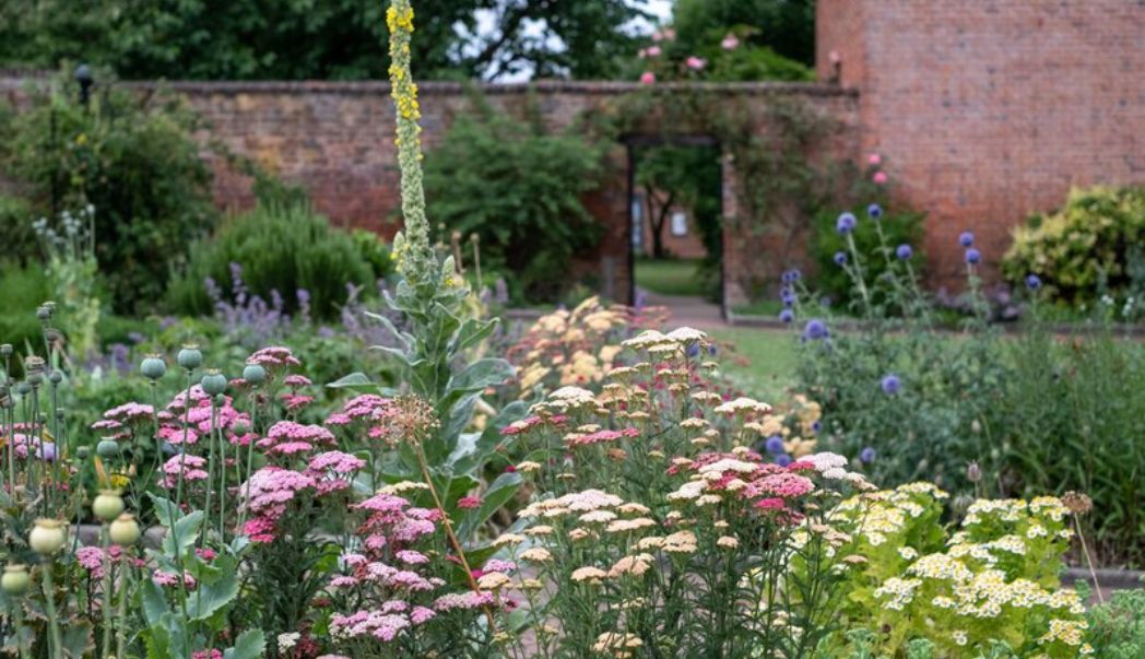 Why having a diverse plant selection matters