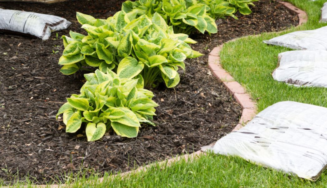 Why mulching works and how to do it