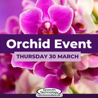 Orchid Event at Birchen Grove