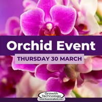 Orchid Event at Birchen Grove Orchid Event at Birchen Grove