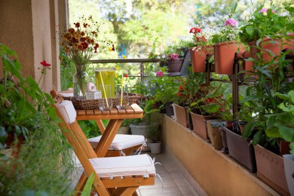 Balcony gardening