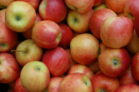 Learn more about apples