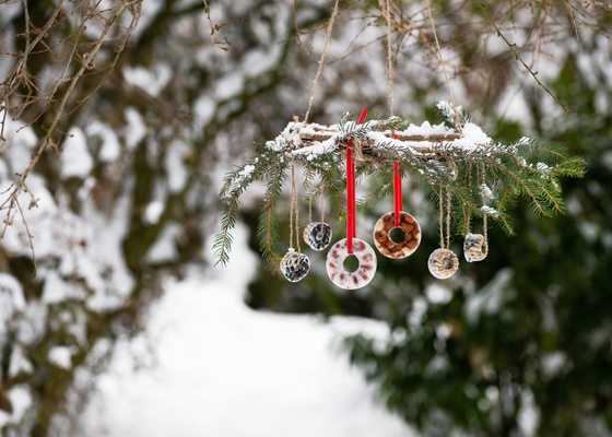 Wildlife-friendly Christmas garden decorations